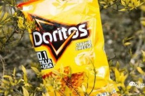 茫茫娱乐吃瓜,揭秘“茫茫娱乐吃瓜”背后的热点事件